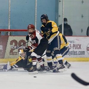 Meet your Posher, Shea